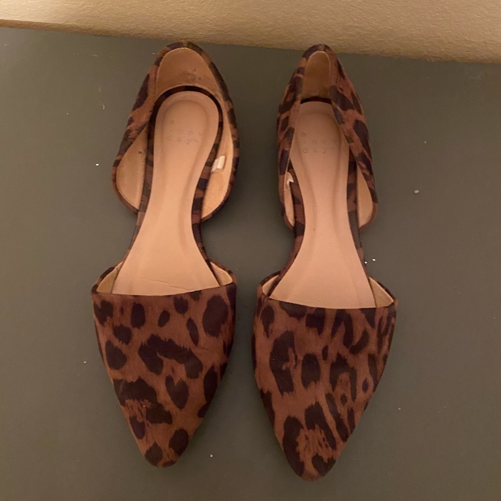 Cheetah Flats